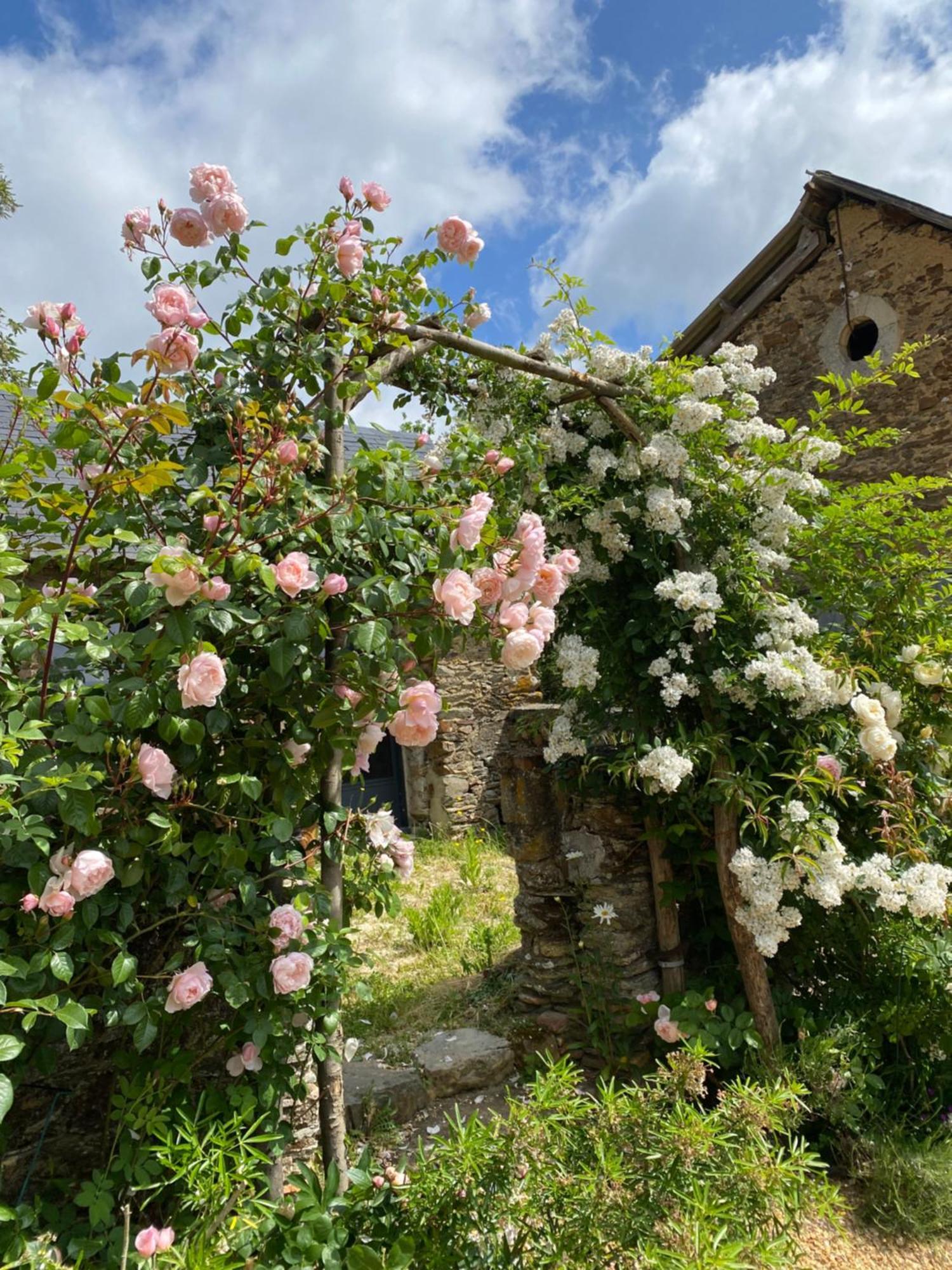 Bed and Breakfast La Moulinière, jolie longère du XVIIè La Jaille-Yvon Esterno foto